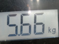 генератор Volkswagen Golf 5 поколение 2005, 1.4 л., МКПП, хетчбэк 5 дв., 03C903023D - фото №8