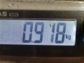 защита арок передняя правая (подкрылок) Nissan Primera P12 2005, 1.8 л., МКПП, универсал, 76744AV600 - фото №4