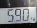 полуось передняя левая (приводной вал, ШРУС) Volkswagen Golf 4 поколение 2001, 1.9 л., МКПП, хетчбэк 5 дв., 1J0407451BX - фото №6