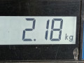 магнитола Volkswagen Golf 5 поколение 2006, 2.0 л., МКПП, хетчбэк 5 дв., 1K0035186R - фото №6