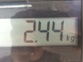 стеклоподъемник электрический передний левый Opel Astra G 2002, 2.2 л., МКПП, кабриолет, 9196093 - фото №5