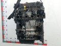 двигатель Ford Focus 2 поколение 2008, 1.6 л., G8DB, дизель, МКПП, хетчбэк 5 дв., 1679684 - фото №3