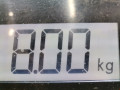 стойка амортизатора Renault Scenic 1 поколение [рестайлинг] 2000, 2.0 л., МКПП, минивэн, 543024308R - фото №6