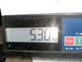 кулак поворотный левый Audi A3 8P/8PA [рестайлинг] 2008, 2.0 л., хетчбэк 5 дв., 1K0407255AA - фото №6