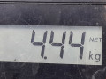 стабилизатор подвески передний Peugeot 307 1 поколение 2005, 1.6 л., МКПП, универсал, 5081E8 - фото №5