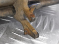 ресивер пневмоподвески Land Rover Discovery 3 поколение 2007, 2.7 л., АКПП, внедорожник 5 дв., LR018308 - фото №4