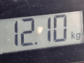 стойка амортизатора Renault Clio 3 поколение [рестайлинг] 2012, 1.2 л., МКПП, универсал, 543028674R - фото №7