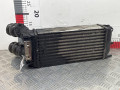 интеркулер Citroen C4 Picasso 1 поколение 2007, 1.6 л., МКПП, минивэн, 0384L4 - фото №2