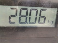 редуктор переднего моста Nissan Pathfinder R51 2006, 2.5 л., МКПП, внедорожник 5 дв. - фото №6