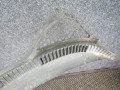 дождевик Peugeot 207 1 поколение [рестайлинг] 2011, 1.4 л., МКПП, хетчбэк 5 дв., 96818458XT - фото №5