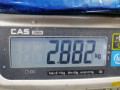 подушка безопасности пассажира SEAT Alhambra 1 поколение 2000, 1.9 л., МКПП, минивэн, 7M1880200GT35 - фото №5