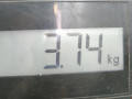 стартер Honda Civic 5 поколение 1994, 31200P06L03 - фото №5
