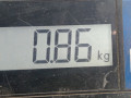 фазорегулятор Kia Ceed 2 поколение 2014, 1.6 л., МКПП, хетчбэк 3 дв., 243702B610 - фото №4