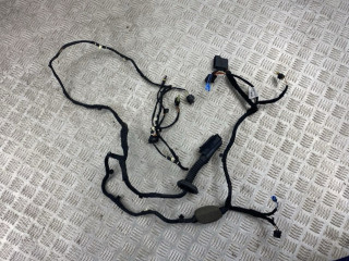 дверная проводка BMW X5 G05 [рестайлинг] G05 2023, 3.0 л., B58B30, бензин, АКПП, carbonschwarz metallic (416), внедорожник 5 дв., 61115A76D72