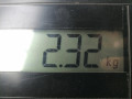 фара правая SEAT Alhambra 1 поколение [рестайлинг] 2005, 1.9 л., МКПП, минивэн, 7M7941016N - фото №8