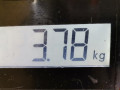 коллектор впускной Opel Astra H/Family [рестайлинг] 2010, 1.6 л., МКПП, хетчбэк 5 дв., 55572730 - фото №7