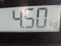 бампер передний Citroen Xsara Picasso 1 поколение [рестайлинг] 2007, 1.6 л., МКПП, минивэн, 7401AC - фото №8