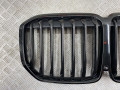 решетка радиатора BMW X7 G07 2018, 3.0 л., B57 D30 C, дизель, arktikgrau brill. metallic (c27), 51138094566, 51138094567, 51138745730 - фото №2