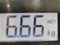 стойка амортизатора Skoda Fabia 1 поколение (6Y) 2003, 1.4 л., МКПП, хетчбэк 5 дв., 6Q0413031BH - фото №6