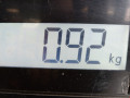 насос топливный Skoda Rapid 1 поколение NH 2015, 1.6 л., МКПП, хетчбэк 5 дв., 6R0919050K - фото №6