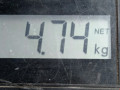диск тормозной передний Peugeot 206 1 поколение [рестайлинг] 2004, 1.4 л., МКПП, хетчбэк 5 дв., 4246R8 - фото №4