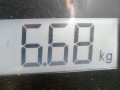 стойка амортизатора Volkswagen Golf 4 поколение 2001, 1.9 л., МКПП, хетчбэк 5 дв., 1J0413031AM - фото №6