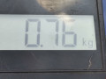 защита арок передняя левая (подкрылок) Volkswagen Golf 4 поколение 1999, 1.6 л., МКПП, хетчбэк 5 дв., 1J0809961E - фото №7