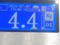 пружина задняя Hyundai ix35 1 поколение LM 2012, 1.7 л., МКПП, внедорожник 5 дв., 553502Y100 - фото №3