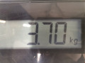 стеклоподъемник электрический передний правый Ford Focus 2 поколение 2005, 1.6 л., МКПП, универсал, 1738646 - фото №5