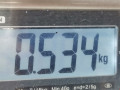 подушка крепления КПП Ford Focus 2 поколение [рестайлинг] 2011, 1.6 л., МКПП, хетчбэк 5 дв. - фото №5