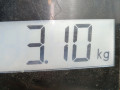 стартер Renault Megane 2 поколение 2003, 1.6 л., МКПП, хетчбэк 5 дв., 8200266777 - фото №7
