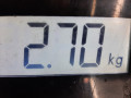 пружина задняя SEAT Ibiza 3 поколение 2003, 1.4 л., МКПП, хетчбэк 3 дв., 6Q0511115BR - фото №4