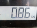 блок управления двигателем Audi A6 4F/C6 2005, 3.0 л., вариатор, универсал, 4F0910402NX - фото №6