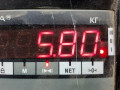 стойка амортизатора Volkswagen Golf 5 поколение 2005, 1.4 л., МКПП, хетчбэк 5 дв., 1K0413031ED - фото №5