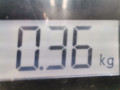 форсунка Audi A3 8P/8PA [2-й рестайлинг] 2009, 2.0 л., МКПП, хетчбэк 5 дв., 03L130277 - фото №5