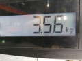 радиатор (основной) Peugeot Partner 1 поколение [рестайлинг] 2006, 1.6 л., МКПП, фургон, 1330K0 - фото №5