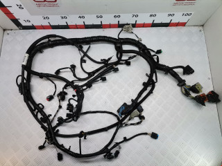проводка Ford Focus 3 поколение 2014, 1.6 л., МКПП, хетчбэк 5 дв., 1861159