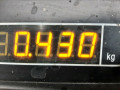 проводка Opel Zafira 1 поколение (A) [рестайлинг] 2004, 1.6 л., МКПП, минивэн, 13130133 - фото №5