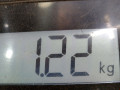 защита арок передняя правая (подкрылок) Mercedes-Benz M-Класс W164 2007, 3.0 л., АКПП, внедорожник 5 дв., A1648840222 - фото №5