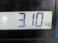диск тормозной задний Peugeot 307 1 поколение 2003, 2.0 л., МКПП, хетчбэк 3 дв., 424952 - фото №4