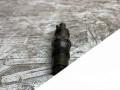 форсунка Volkswagen Caddy 2 поколение 1996, 1.9 л., дизель, 068130202F, KCA30S79 - фото №2