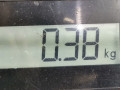 защитный кожух тормозного механизма Mazda 3 BK 2003, 1.6 л., МКПП, хетчбэк 5 дв. - фото №4