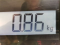 моторчик заднего стеклоочистителя (дворника) Ford C-Max 1 поколение 2004, 1.6 л., МКПП, хетчбэк 5 дв., 1689913 - фото №5