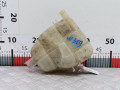 бачок расширительный Opel Meriva 2 поколение (B) 2011, 1.4 л., МКПП, минивэн, 39097904 - фото №2