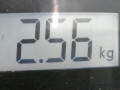 суппорт задний левый Volkswagen Golf 4 поколение 2001, 1.4 л., МКПП, хетчбэк 5 дв., 1J0615423G - фото №6