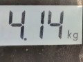 ступица задняя левая Opel Zafira 1 поколение (A) [рестайлинг] 2003, 2.2 л., МКПП, минивэн, 9119931 - фото №5