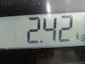 рамка капота Mercedes-Benz A-Класс W168 1999, 1.4 л., МКПП, хетчбэк 5 дв. - фото №6