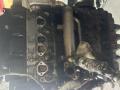 двигатель Volkswagen Golf 4 поколение 2005, 1.9 л., МКПП, BLS - фото №3