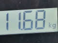 полуось задняя (приводной вал, ШРУС) Land Rover Discovery 3 поколение 2006, 2.7 л., АКПП, внедорожник 5 дв., LR072071 - фото №5