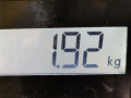проводка Peugeot 207 1 поколение 2007, 1.4 л., МКПП, хетчбэк 5 дв., 5969C3 - фото №4